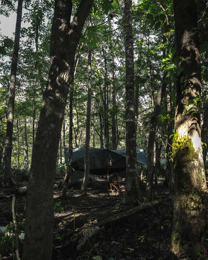 本格的なソロキャンプやハンモック泊が楽しめるワイルドな林間サイト「Hammocks」